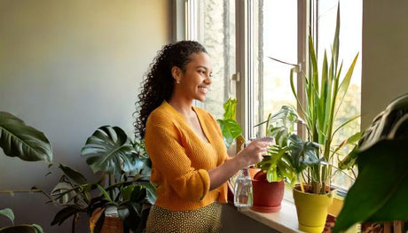 The Benefits of Non-Toxic Cleaners