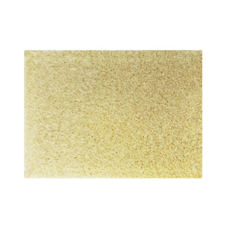Trim Smart Paint Edger Replacement Pad