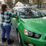 Bug Squeegee