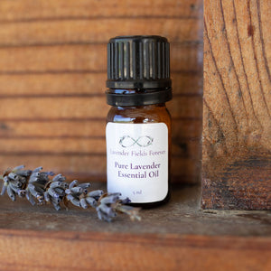 Lavender Fields Forever